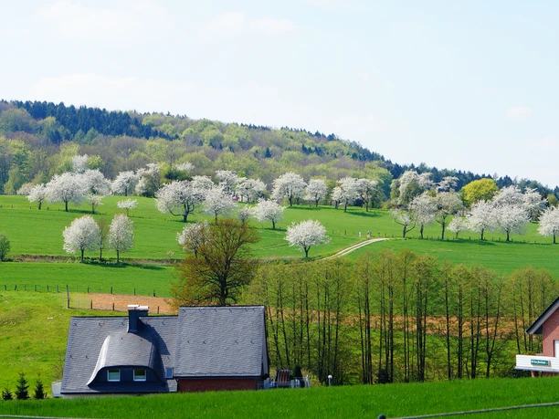 Blick ins Forellental