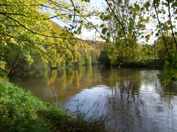 werra-wasserflaeche-herbstlaub-c-susanne