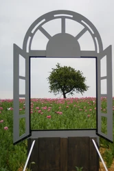 mohnfenster_grandenborn_nah_hf_c_andrea_
