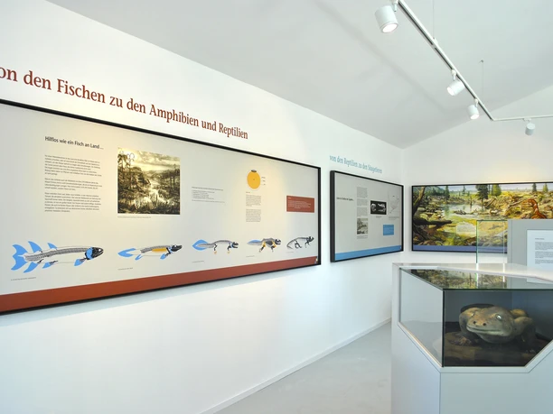 Dachgeschoss Kalkturm