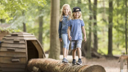 Löwepfad im Lechlumer Holz