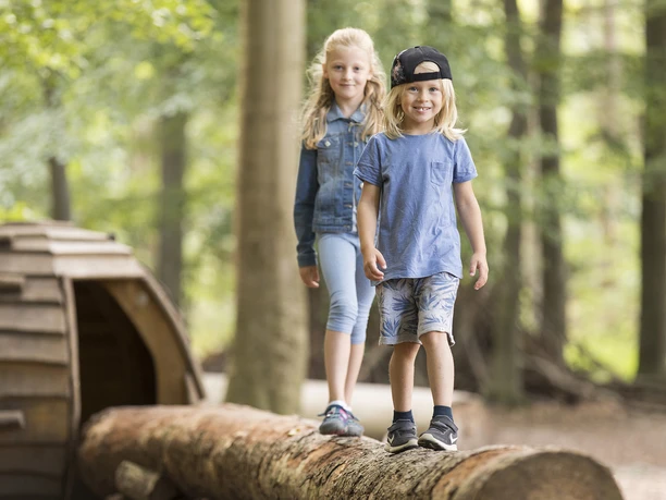 Löwepfad im Lechlumer Holz