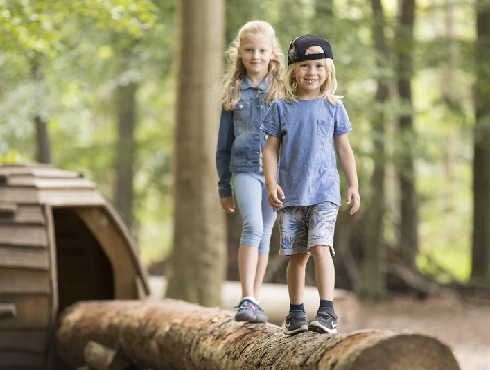 Löwepfad im Lechlumer Holz