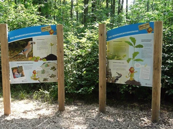 Löwepfad im Lechlumer Holz