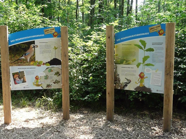 Löwepfad im Lechlumer Holz