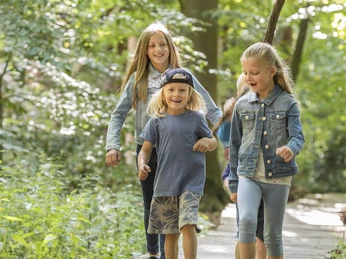 Löwepfad im Lechlumer Holz