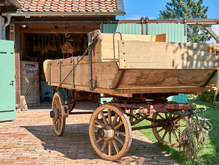 Gärtnermuseum Wolfenbüttel Alter Holz-Wagen vor einem geöffneten ScheunentorOld wooden wagon in front of an open barn doorGammel trævogn foran en åben ladeportOude houten wagen voor een open schuurdeur