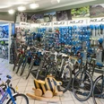 Fahrradgeschäft innen