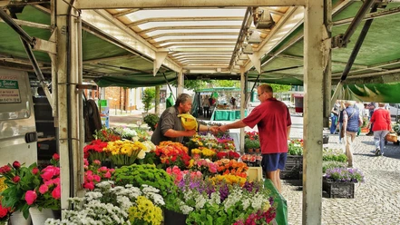 Der Zevener Wochenmarkt auf dem Vitus-Platz Der Zevener Wochenmarkt auf dem Vitus-Platz