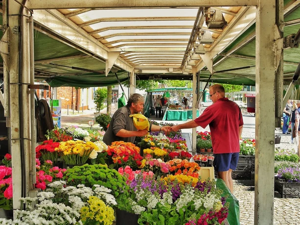 Der Zevener Wochenmarkt auf dem Vitus-Platz Der Zevener Wochenmarkt auf dem Vitus-Platz