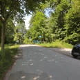 Straße am Waldrand mit geparktem schwarzem Auto, umgeben von üppigem grünem Laub und Bäumen.