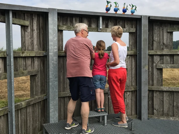 Besucher am Aussichtspunkt Aperberg Eine ältere Frau, ein Mann und ein Kind stehen auf einer Aussichtsplattform aus Metall, die von Holzwänden umgeben ist, mit Plastikhühnern obendrauf.