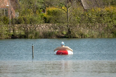 Schwimmer im Dorfteich