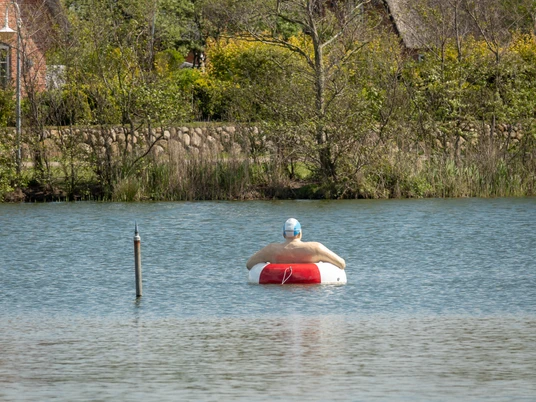 Schwimmer im Dorfteich