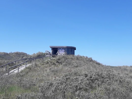 juist_infoh-tte-kalfamer_blick-vom-wanderweg_nlpv-nlpv