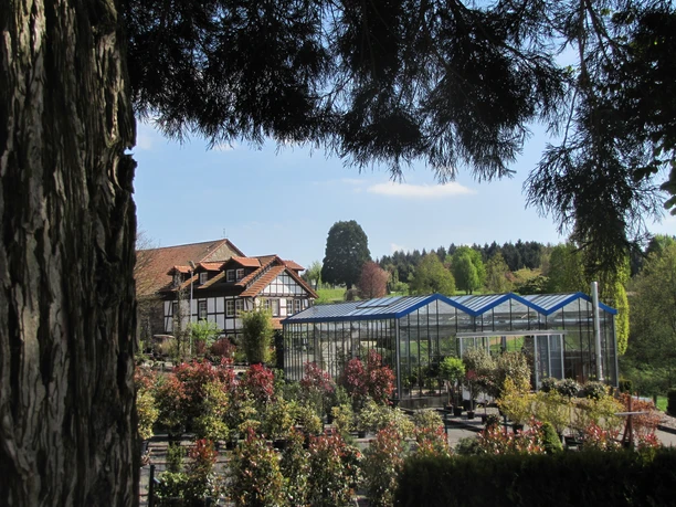 Verkaufsareal und Gewächshaus