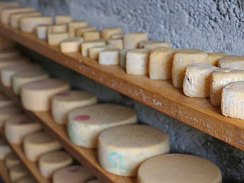 Cheese cellar