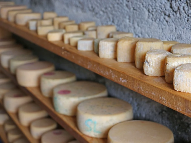Shelves lined with wheels of cheese