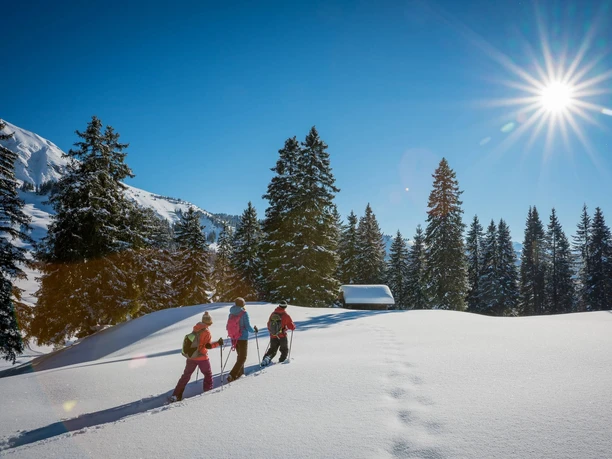 habkern-lombachalp-winter-schneeschuhlaufen-wald-h-ttli-soft-adventure