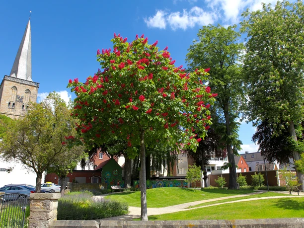 Bürgermeister-Meyeringh-Park