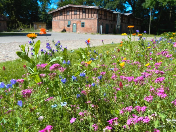 Idyllische Lage inmitten der Natur Idyllische Lage inmitten der Natur