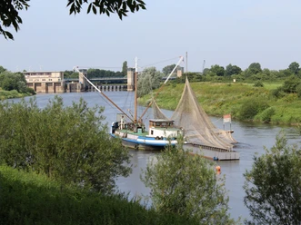 Drakenburg Aalschokker A historic Aalschokker on the Weser near Drakenburg, surrounded by green riverside scenery.