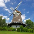 Die Achimer Windmühle steht unter blauem Himmel, umgeben von Bäumen.