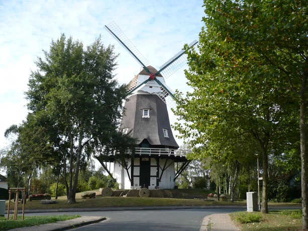 Achimer Windmühle mit Reetdach und imposanten Flügeln umgeben von Bäumen bei klarer Wetterlage.