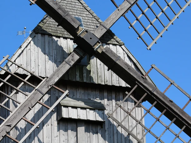 Ahrbecker Bockwindmühle aus Holz mit Schindeldach, zentral im Bild, umrahmt von drehenden Flügeln.