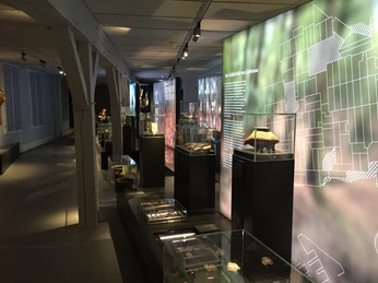 Altsachsengräber Liebenau - Ausstellungsstücke im Regionalmuseum Nienburg Ausstellung in einem Museum mit beleuchteten Vitrinen, die prähistorische Artefakte präsentieren.