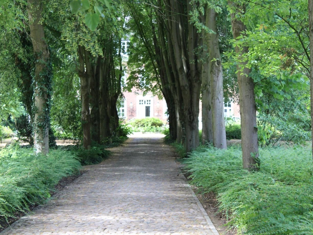 Eine von Bäumen gesäumte Allee führt zu einem historischen Gebäude im Hintergrund, umgeben von Natur.