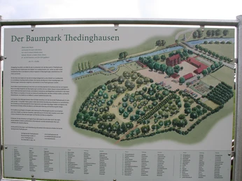 Infotafel Baumpark Thedinghausen Übersichtstafel des Baumpark Thedinghausen mit detaillierter Darstellung der Parkanlage.