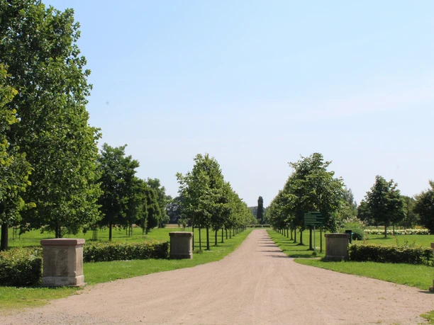 Ein weitläufiger, von Bäumen gesäumter Parkweg führt durch eine grüne Parklandschaft unter blauem Himmel.