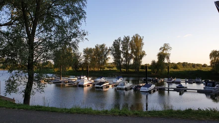 Uesener Bootshafen Boote liegen in einem ruhigen Hafenbecken am Ufer, umgeben von Bäumen in der Abendsonne.