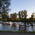 Uesener Bootshafen Boote liegen in einem ruhigen Hafenbecken am Ufer, umgeben von Bäumen in der Abendsonne.