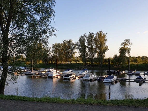 Uesener Bootshafen Boote liegen in einem ruhigen Hafenbecken am Ufer, umgeben von Bäumen in der Abendsonne.