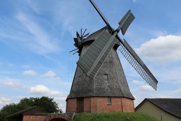 Büschings Mühle Petershagen Historische Windmühle mit Backsteinsockel und Holzverkleidung vor blauem Himmel in Petershagen.