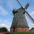 Büschings Mühle Petershagen Historische Windmühle mit Backsteinsockel und Holzverkleidung vor blauem Himmel in Petershagen.