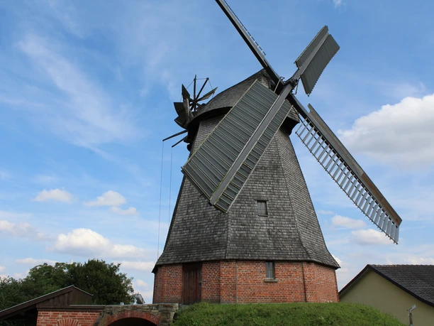 Büschings Mühle Petershagen Historische Windmühle mit Backsteinsockel und Holzverkleidung vor blauem Himmel in Petershagen.