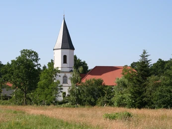 Catharinenkirche Martfeld Weißer Kirchturm mit spitzem Dach ragt zwischen grünen Bäumen und Wiesen hervor, blauer Himmel.