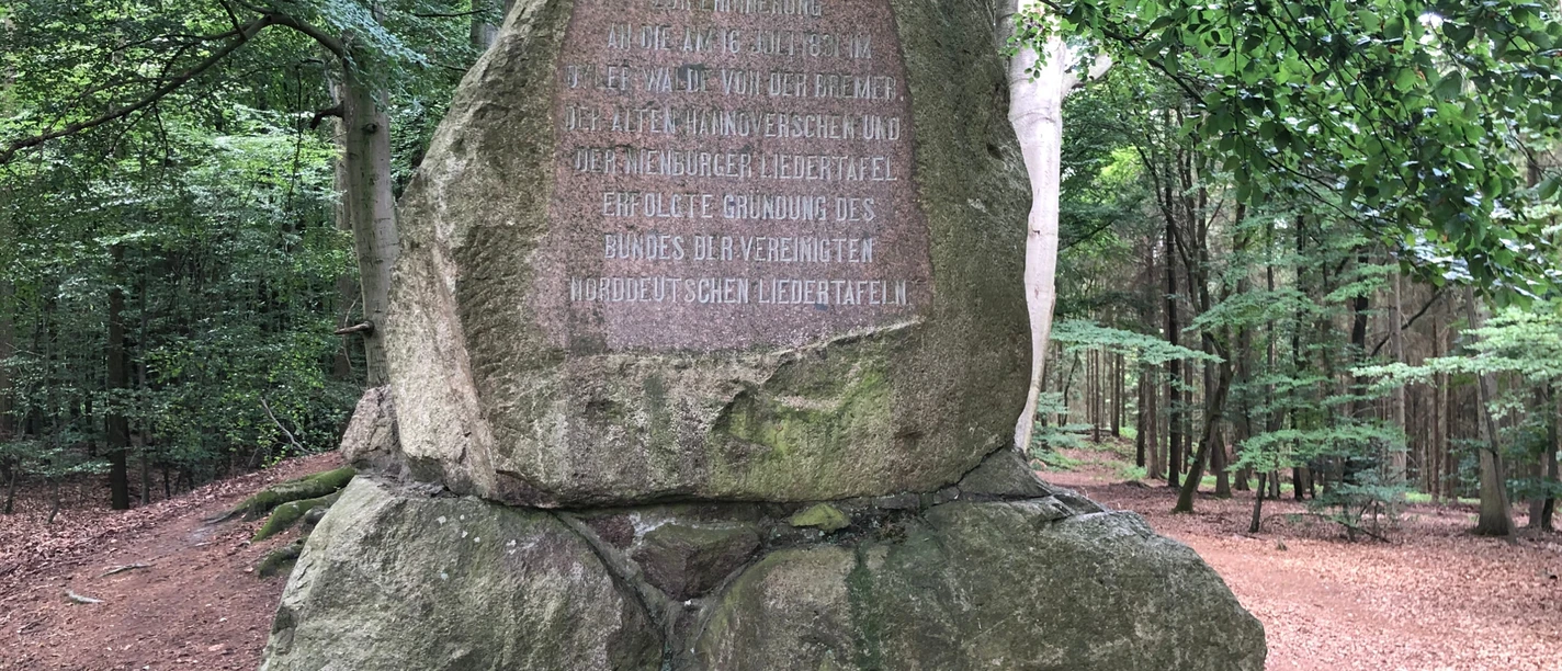 Gedenkstein im Wald erinnert an die Gründung des Bundes der Vereine für Naturschutz in Deutschland.