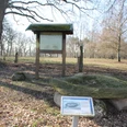 Eine Informationstafel und mehrere große Steine stehen in einem lichten Wald voller Herbstblätter.