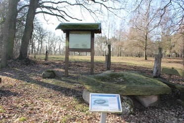 Düsselburg Eine Informationstafel und mehrere große Steine stehen in einem lichten Wald voller Herbstblätter.