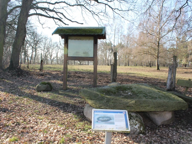 Düsselburg Eine Informationstafel und mehrere große Steine stehen in einem lichten Wald voller Herbstblätter.
