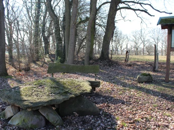 Eine steinerne Sitzgruppe mit bemooster Tischplatte und Bank, umgeben von lichten Laubbäumen.
