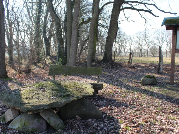 Düsselburg Eine steinerne Sitzgruppe mit bemooster Tischplatte und Bank, umgeben von lichten Laubbäumen.