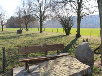 Eine Holzbank mit Blick auf ein sonniges, grünes Feld, umgeben von Bäumen und einem blauen Himmel.A wooden bench with a view of a sunny, green field, surrounded by trees and a blue sky.En træbænk med udsigt til en solrig, grøn mark, omgivet af træer og en blå himmel.Een houten bank met uitzicht op een zonnig, groen veld, omringd door bomen en een blauwe lucht.