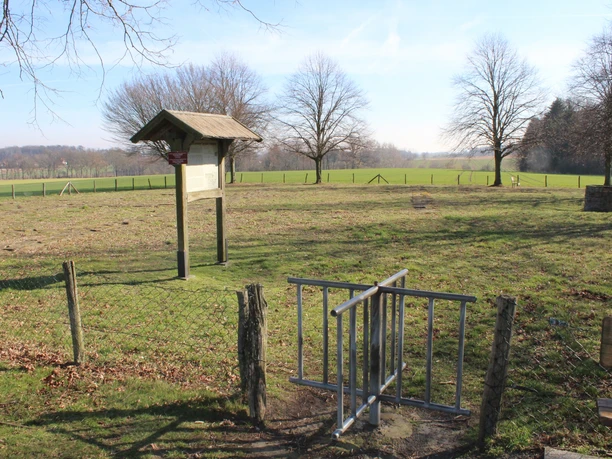 Kloster Asbeke is situated in a green, peaceful landscape, surrounded by trees and fields.