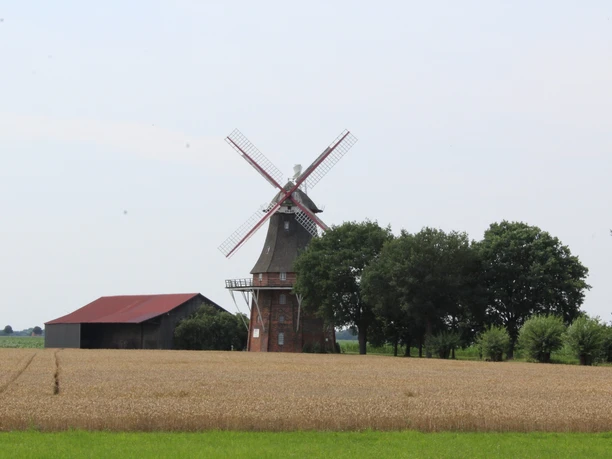 Die historische Feldmühle Martfeld, umgeben von Feldern und Bäumen, mit klassischem Mühlenbau.