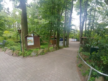 Freilichtbühne Daverden Ein von Bäumen umgebener, gepflasterter Weg führt zur überdachten Freilichtbühne in Daverden.